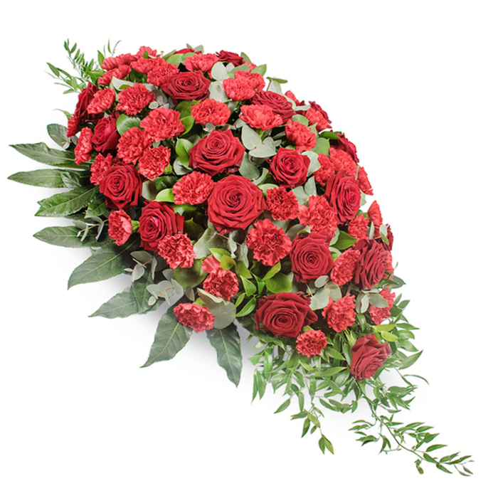 Set against a clear white backdrop, this substantial sympathy spray forms an elegant, elongated teardrop, broader and more densely packed at the upper left before narrowing into a fine, trailing point on the lower right. The entire composition is dominated by luxurious deep red blooms, principally fully opened roses whose velvety petals curl inwards in perfect spirals, giving the spray a sense of gravitas and classic beauty. Interlaced among these roses are clusters of red spray carnations, their smaller, ruffled petals adding a lively, intricate texture that fills the gaps and creates a rich, layered effect. The red tones range from dark, wine-like hues at the heart of the roses to brighter scarlet flashes in the carnations, echoing the emotional depth of love, loss, and remembrance. Supporting this river of red is a generous base of greenery: sturdy, dark green leaves offer a strong, sculpted outline, while rounded, silvery-green eucalyptus leaves soften the look, almost like a gentle mist running through the arrangement. Delicate, trailing foliage in lighter green cascades from the lower right edge and subtly from the sides, helping the spray appear as though it is naturally flowing rather than rigidly constructed. It feels like the work of an experienced local florist in North Watford, perhaps created for a service at a nearby church off St Albans Road or for a family gathering in one of the surrounding residential streets. Designed as a casket spray or prominent funeral tribute, this arrangement conveys respect and heartfelt condolence, a quietly powerful presence intended to stand beside mourners and reflect the depth of their memories.