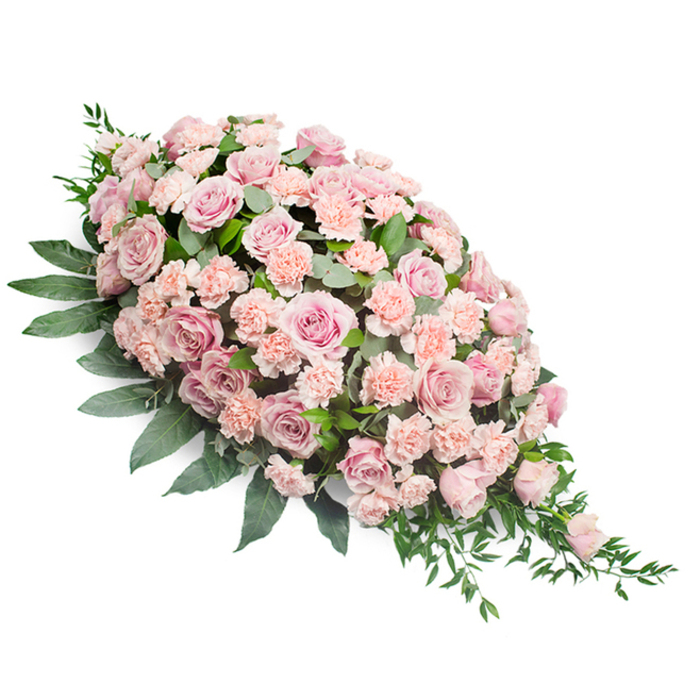 Set against a bright white backdrop, this lush sympathy spray draws the eye with its elongated, crescent-like form, full and rounded at the top left and gradually flowing down to a refined point at the lower right. The central focus is on a wealth of soft pink roses, arranged so densely that their petals seem to overlap like folded silk. Each rose appears carefully placed: some are wide open, revealing deeply cupped centres, while others remain in tighter bud, adding gentle height variations and a sense of natural growth. Among these roses, ruffled carnations in a pale peach-pink hue weave through the design, their intricate, fringed petals providing delicate texture and visual softness. Dark green foliage underpins the entire arrangement, forming a supportive, verdant cushion. Broad leaves frame the spray, creating a clear outline, while narrower, more agile stems of greenery thread between the blooms. At the narrow end of the design, the foliage extends into airy points that trail away, giving the impression that the spray is quietly cascading. The tonal contrast between deep green leaves and pastel petals is subtle yet striking, creating a soothing, balanced composition that feels both tender and composed. Imagined in the stillness of a North Watford church or a small family funeral gathering, this spray would rest peacefully on a casket or stand, inviting moments of reflection. Crafted with the practiced hands of a local florist, it embodies comfort, sympathy, and enduring love, making it a fitting tribute for memorial services and final farewells across the local community.