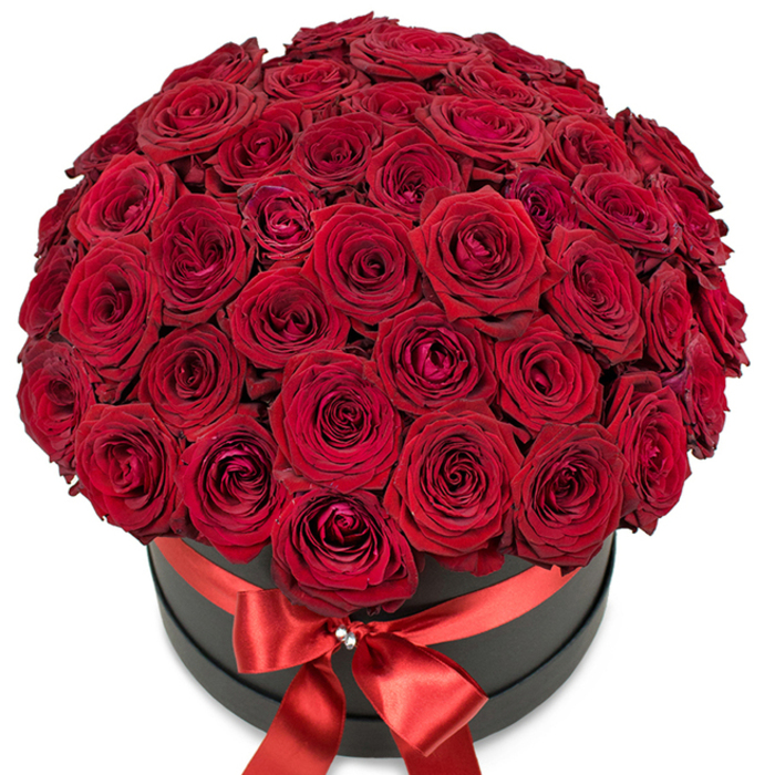 Composed of dozens of premium, deep crimson red roses, this dramatic floral masterpiece commands attention atop a sleek, matte black round hat box. Each flower is carefully placed, forming a harmonious, densely packed dome-petals arranged in swirling patterns that reveal the intricate beauty of each bloom, from the concealed heart of tightly closed buds to the open splendor at the perimeter. The vivid red hue, emblematic of enduring love and grand gestures, dominates the scene, radiating energy and emotion. The dark, contemporary box beneath provides sophisticated contrast, its smooth surface accentuating the intensity and complexity of the roses. A luxurious red satin ribbon embraces the box, culminating in an elegant bow whose silky tails drape gracefully; a shimmering, crystal-like pin adds a touch of North Watford flair, suggesting both exclusivity and local pride. Bathed in gentle daylight and set against a minimalist white background, the bouquet becomes the undisputed focus, inviting admiration for the skill and attention of North Watford's expert florists. This arrangement is the quintessential choice for those seeking a grand romantic statement-an unforgettable gift for Valentine's Day, milestone anniversaries, or heartfelt gestures in the community. Its modern elegance and perfect presentation celebrate both love and the vibrant character of North Watford.