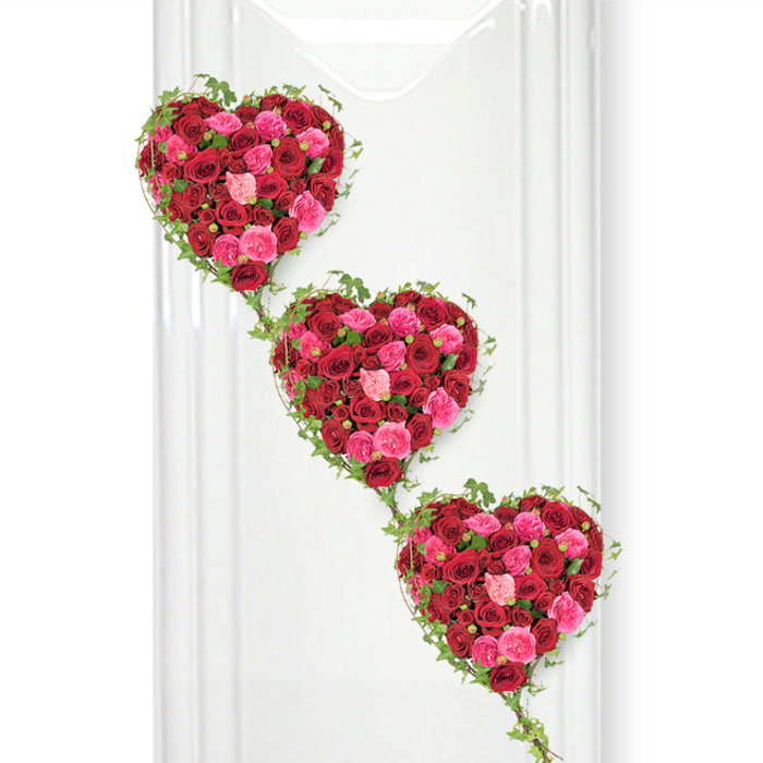 Three cascading hearts made entirely of roses create a powerful, romantic funeral tribute, captured here against a clear, bright white background that could easily belong to a quiet service room near North Watford. The hearts are positioned one beneath the other on a slight diagonal, so the top heart seems to lead gracefully down to the final one, echoing the journey from life to remembrance. Each heart is densely studded with hundreds of roses in harmonising shades of deep crimson, vivid magenta, and soft blush pink. The red blooms carry the weight of devotion and respect, while the pink tones add gentleness, affection, and gratitude for shared years. Some roses are in tight, youthful buds; others are fully open, their layered petals spiralling outward in intricate rosettes, giving the design a rich, three-dimensional texture that feels almost touchable. Slender trails of fresh ivy outline every heart with small, sharply cut leaves in glossy dark green. These vines twist and tumble delicately between the hearts, forming natural connections that suggest family ties, lifelong friendships, and bonds that extend beyond loss. The white backdrop and subtle, cool lighting enhance the clarity of each colour, casting only the faintest shadows so that nothing distracts from the floral work itself. This tribute would sit beautifully at the front of a chapel in North Watford, at a crematorium near local parks or residential streets, or beside a photograph at a celebration-of-life service. It radiates love, remembrance, and the careful craftsmanship of an experienced florist who understands how flowers can speak when words fail.