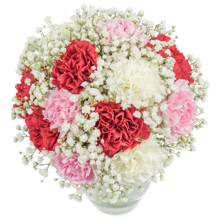 A lush, full-bodied bouquet brimming with locally sourced North Watford charm is elegantly presented in a clear glass vase, its stems and fresh water just visible beneath the blooms. Large, intricately ruffled carnations in radiant tones of deep red, soft powder pink, and creamy white are thoughtfully arranged in a near-perfect sphere, their exuberance balanced by the airy touch of baby's breath that weaves between them like wisps of early morning fog. The gypsophila adds a delicate, cloud-like layer, its countless tiny white blossoms enhancing the depth and softness of the composition. Illuminated by gentle, bright light, every hue and texture appears distinct against the pure white background, capturing the freshness as if the bouquet were plucked straight from a garden around Callowland Park. The colours are carefully balanced, offering visual delight and a sense of harmony perfect for heartfelt gifting-be it anniversaries, Mother's Day, Valentine's, or simply to convey admiration and sincere thanks. This classic arrangement, enriched by the traditions of North Watford floristry, radiates with warmth and festive spirit, poised to bring lasting elegance and cheer to local homes and community celebrations.