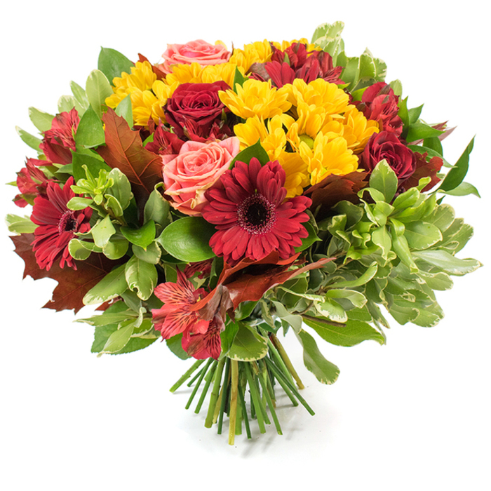 A densely composed hand-tied bouquet set against a white background, its rounded profile overflowing with the deep, warm colours of fall. Rich burgundy gerbera daisies with their signature flat petals and dusky centers sit alongside sumptuous red roses, some opening fully to reveal layered velvety petals, others held as tight, elegant buds. Bright yellow chrysanthemum sprays scatter like cheerful accents through the mass of blooms, their small, multi-petaled heads adding delicate, joyful punctuation. Coral and soft blush roses are threaded through the arrangement to temper the intensity and introduce a soft, romantic note. Orange-red alstroemeria - slender, often speckled - contribute intricate patterning and a star-like silhouette that enlivens the bouquet's surface. A generous assortment of foliage, from glossy dark green leaves to lighter, almost variegated greens, provides a tactile, leafy stage for the flowers to sit upon. Crucially, several large, reddish-brown and bronze-toned leaves, suggestive of oak or maple, are woven into the design to assert its autumnal identity and to bring a rustic, open-air sensibility reminiscent of walks through local green spaces in North Watford. The stems are neatly gathered and visible at the base as a neat bundle of green stalks resting on the white plane, confirming the hand-tied technique. The overall impression is one of well-crafted seasonal abundance: a bouquet suited to Thanksgiving tables, harvest celebrations or an attentive gift to brighten a home near Watford Market or Hempstead Road.