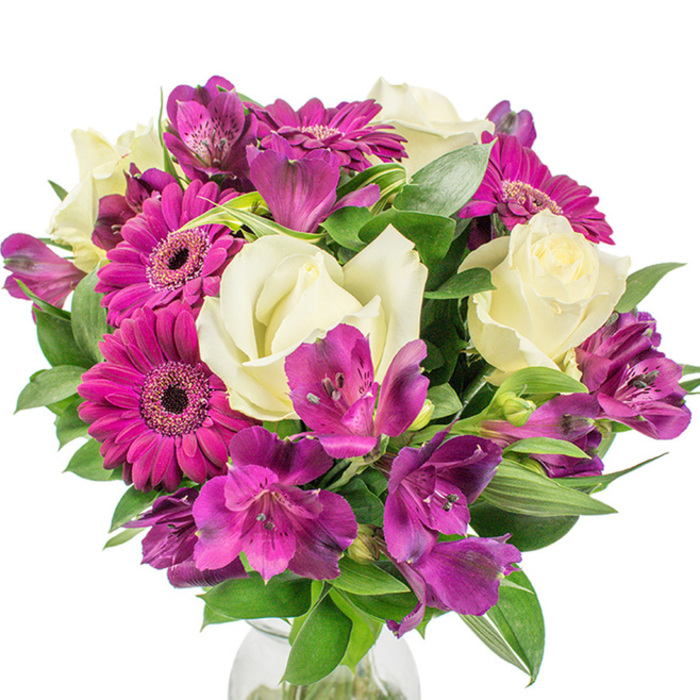 A lush, professionally styled round bouquet captured against a stark white background, the piece is dense with texture and colour yet reads with clean elegance. Creamy white roses are prominent, their petals tightly coiled and then unfurling in layers that suggest softness and quiet romance; each rose reflects light with a satiny glow. At least three deep magenta Gerbera daisies punctuate the arrangement, their bold pink petals arranged in precise rings around dark, almost black discs that provide dramatic contrast. Crowding the spaces between are clusters of purple and fuchsia Alstroemeria, Peruvian lilies whose subtle speckling and trumpet shapes introduce intricate detail and a slightly exotic note. The bouquet's volume is amplified by plentiful dark green foliage-some leaves broad and velvety, others narrow and slightly variegated-creating a rich tapestry that supports and offsets the blooms. A hint of a clear glass vase grounds the composition at the base, the transparency a cool counterpoint to the warm petal tones. The lighting is bright and even, which makes the magenta and cream sing while preserving the delicate patterns on the Alstroemeria. This arrangement would translate beautifully to occasions across North Watford, whether as a centerpiece on a dining table near Watford High Street, a thoughtful anniversary delivery to a home off North Watford station, or as a floral accent for a small event at a local community hall. The overall impression is one of fresh abundance, careful craftsmanship, and an approachable elegance that carries sentiments of joy, appreciation, and celebration.