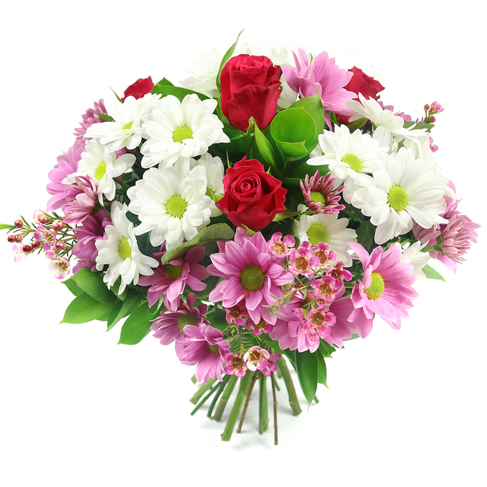 The image captures a meticulously arranged, hand-tied bouquet presented against a pristine white background, allowing every bloom and leaf to stand out with clarity. At its heart are two prominent deep red roses, their petals tightly layered and velvety to the eye, suggesting freshness and the intensity of loving or appreciative sentiments. Around these roses, a generous circle of white daisy-like chrysanthemums unfolds, each flower open and well-formed, with distinctive lime-green centres that add a vibrant, almost citrus-like brightness to the composition. Among the white daisies, numerous pink daisy chrysanthemums are artfully woven, ranging from soft, delicate blush tones to a richer, medium pink, all sharing the same bright green eyes. These pink blooms create a graceful transition between the bold red roses and the crisp white flowers, adding warmth and a sense of celebration. Delicate sprigs of pale pink waxflower-style blossoms are scattered throughout, particularly visible along the outer edges, where their tiny star-shaped flowers and thin, branching stems introduce fine detail and a light, airy texture. The bouquet is underpinned by lush greenery, including broad, glossy dark green leaves and smaller, brighter green foliage, which frame the flowers and emphasise their colours. At the bottom, the fresh stems are gathered tightly and cleanly cut, indicating a professional hand-tied design ready for a favourite vase in a North Watford home-perhaps on a dining table near North Watford railway station or in a cosy living room off St Albans Road. This arrangement feels perfect for birthdays, thank-you gifts, or simply sending a warm hello, with its blend of red, white, pink, and green expressing affection, joy, and thoughtful care.