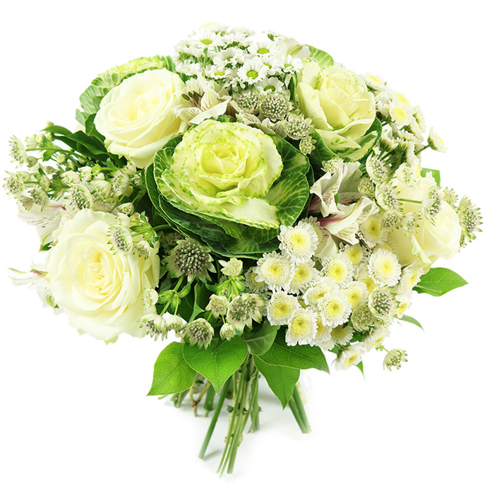 A beautifully composed hand-tied bouquet in layered tones of white, cream, and fresh green is set against a clean, white background, making every detail of the floral design stand out. In the centre, a decorative ornamental kale forms a captivating focal point, its ruffled leaves shifting from deep forest green on the outer edges to soft chartreuse and pale green toward the core, like a miniature rosette of garden foliage. Surrounding this unique feature, creamy white roses are fully open, their soft, swirling petals creating a sense of quiet opulence and timeless romance that would look perfectly at home in a North Watford townhouse or cosy flat near Garston. Interlaced among the roses are clusters of white spray chrysanthemums and small daisy-style flowers, each with bright yellow or yellow-green centres, adding a playful, textural contrast that lightens the whole composition. Subtle hints of white alstroemeria, with their fine striped markings and occasional touch of pastel flush, peek from between the larger blooms, offering a gentle sense of depth and movement. Sprays of star-shaped astrantia or similar greenish-white filler flowers bring an intricate, almost lace-like quality, giving the bouquet a slightly wild, garden-picked character while still feeling carefully curated. A backing of lush dark green foliage provides structure and frames the white flowers, with leaves of varying shapes and sizes adding visual interest. The stems at the base are cleanly aligned and firmly bound, clearly indicating a professional hand-tied arrangement ready to be placed into a favourite vase. This luxurious yet natural bouquet conveys freshness and sophistication, ideal for weddings, anniversary surprises, or thoughtful sympathy deliveries across North Watford and nearby neighbourhoods.