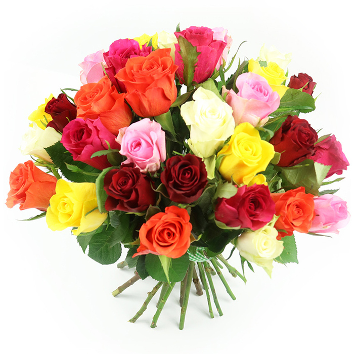 A sumptuous bouquet of approximately three to four dozen multi-coloured roses sits against a pure white background, the kind of generous hand-tied arrangement you might see being prepared for delivery to a home off St Albans Road in North Watford. The roses are gathered so closely that the blooms form a rounded, almost cloud-like dome of colour at the top, with each flower angled thoughtfully to show off its velvet petals. Rich crimson and deep red roses are scattered throughout, softened by pastel pinks and blush tones that lend a romantic, gentle air. Among them, bright yellow roses beam like pockets of sunshine, while bold orange blooms and vivid fuchsia roses add a burst of energy. Creamy white and ivory flowers are tucked between the stronger colours, creating a subtle sense of lightness and space within the dense composition. The petals are tightly layered and softly curled at the edges, some blossoms fully open, others still in a more cupped, youthful stage, capturing different moments in the life of the rose. Fresh, dark green foliage nestles between the blooms and around the base, giving the bouquet structure and contrast, the leaves slightly glossy under the even, bright lighting. Beneath the explosion of colour, long green stems are carefully aligned and tied with a green and white gingham ribbon, knotted firmly but with a homely charm, reminiscent of a picnic cloth in a North Watford park. Resting on the white surface, the stems fan gently outward, reinforcing that this is a hand-tied bouquet, ready to be gifted for a birthday, anniversary, or warm congratulations. The overall feel is one of generous celebration, refined yet approachable, crafted with the care of a local florist who knows the sentiments behind each delivery.