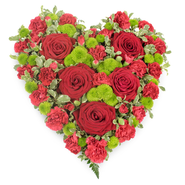 A striking heart-shaped arrangement designed as a funeral or memorial tribute is set against a spotless white background, highlighting every nuance of colour and texture. The shape is flawlessly symmetrical, with a broad, rounded top and a defined, tapered point at the bottom, the flowers packed in so tightly that the entire surface appears luxuriously plush. Five to six generous red roses are spaced thoughtfully throughout the heart, their deep crimson petals unfurling in precise, velvety layers that catch the light and emphasise their classic beauty. Between and around these roses, an abundance of red mini carnations fills the space, their smaller, frilled petals creating a soft, tufted effect, like the surface of a rich fabric. Scattered among the red blooms are bright lime-green button chrysanthemums, each one a tidy sphere of tiny petals that create a refreshing contrast, lending the arrangement an almost modern edge while still feeling timeless. The perimeter of the heart is subtly defined with variegated foliage, likely pittosporum, its green-and-cream leaves introducing a gentle pattern that frames the design and enhances the heart outline without distracting from the blooms. At the pointed tip, a small spray of dark green fern fronds extends just beyond the flowers, giving a delicate, natural finish that feels both graceful and intentionally placed. This heart would be a comforting presence at a North Watford funeral service or cremation, perhaps delivered in memory of someone cherished along Bushey Mill Lane or near North Watford station. The deep reds speak of devotion and respect, while the vivid greens hint at hope and remembrance, creating an elegant way to say a final, heartfelt goodbye.