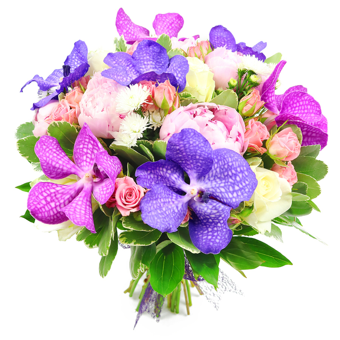 A sumptuous, hand-crafted bouquet is displayed against a spotless white background, the camera angled slightly from above to reveal the intricate interplay of colour and texture. Dominating the design are several large pink peonies, fully open and plush, their many layers of petals forming generous, rounded blooms that suggest softness and heartfelt affection. Between these, vibrant Vanda orchids in intense indigo-purple and bright fuchsia emerge, each bloom with broad petals etched in delicate, speckled veining that gives them a refined, almost patterned fabric quality. Surrounding and softening these statement flowers are clusters of spray roses in pale pink and warm peach, along with a scattering of creamy white or very soft yellow roses, some still in bud and others partially unfurled. Tiny white filler flowers, likely spray chrysanthemums or asters, are tucked into the gaps, adding fine, star-like points of interest and enhancing the bouquet's lush volume. The arrangement is anchored by an abundance of fresh green foliage, from larger, glossy leaves to smaller, variegated greenery, which creates a deep, natural base and frames the brighter blossoms. The stems are neatly aligned and bound with a tasteful purple ribbon, subtly decorated with sheer mesh that catches the light. The bright, neutral background and even lighting allow the fuchsias, purples, pinks, peaches, and whites to glow without distraction, much like a carefully arranged display in a North Watford window facing the afternoon sun. This bouquet feels both opulent and inviting, ideal for celebrating engagements, anniversaries, or simply sending a luxurious surprise to someone special in North Watford and the surrounding neighbourhoods.