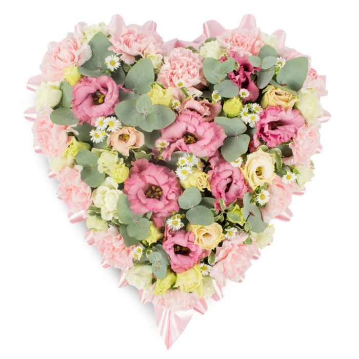 Against a crisp white background, a meticulously crafted heart-shaped floral tribute takes centre stage, radiating a sense of gentle peace and remembrance. The entire outline of the heart is subtly defined by a soft pink satin ribbon that traces each curve, tucking between petals and forming refined little bows at the top and bottom tips, as though tying together memories and farewells. The heart itself is densely filled with flowers, with no empty patches, creating a plush, cushioned appearance that feels both abundant and soothing. At the forefront are generous, ruffled heads of pink lisianthus and light pink carnations, their layered petals catching the light in a way that suggests softness to the touch, much like a pastel sunset over North Watford's rooftops. Interspersed among these are clusters of creamy yellow and ivory spray roses, their smaller blooms opening gently, bringing a warm, comforting glow through the design. Tiny white daisies with golden centres are dotted throughout, like scattered stars or wildflowers seen along the verges near North Watford's quieter lanes, adding innocence and a hint of countryside calm. Threads of rounded, silvery-green eucalyptus leaves weave naturally between the blossoms, providing cool contrast and a graceful structure, complemented by darker green variegated foliage that grounds the pastel tones. The craftsmanship suggests the careful work of an experienced local florist, balancing colour, shape, and texture to create a tribute that feels deeply personal. Ideal as a sympathy heart for a church or crematorium service around North Watford, this floral design conveys love, remembrance, and the wish to offer comfort when words may not be enough.