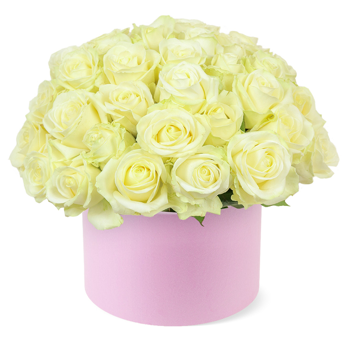 At the centre of the image, a lavish bouquet of roses forms a nearly perfect hemisphere, rising like a soft floral sculpture from a round pastel pink hat box. The roses are arranged so densely that the viewer sees almost nothing but gently curving petals, each bloom pressed lovingly against its neighbours. The colours are subtle and sophisticated: creamy whites blend into pale ivory, with occasional touches of warm, buttery yellow glowing from the centres, lending the flowers a sense of freshness and youth. Many of the roses are at that ideal stage of flowering, fully open but still structured, their petals unfolding in neat spirals that speak of careful selection and expert conditioning. Just beneath the mass of blooms, a discreet ring of green foliage peeks out, adding a natural frame and a fresh contrast that keeps the palette from feeling too stark. The hat box itself is a soft blush pink with a matte, almost velvety surface, evoking the feel of premium packaging you might find in a chic shop tucked off St Albans Road in North Watford. Its low, cylindrical shape cradles the flowers securely, allowing the dome of roses to appear as though it is gently overflowing the rim. Everything is presented against a crisp white background, devoid of distractions, so that the eye is drawn purely to form, colour, and texture - the quiet interplay of cream petals against pink box. The overall mood is one of intimate celebration, ideal for an anniversary surprise delivered by Flower Delivery North Watford to a cosy home near Leavesden or a romantic dinner table, expressing love with understated elegance.
