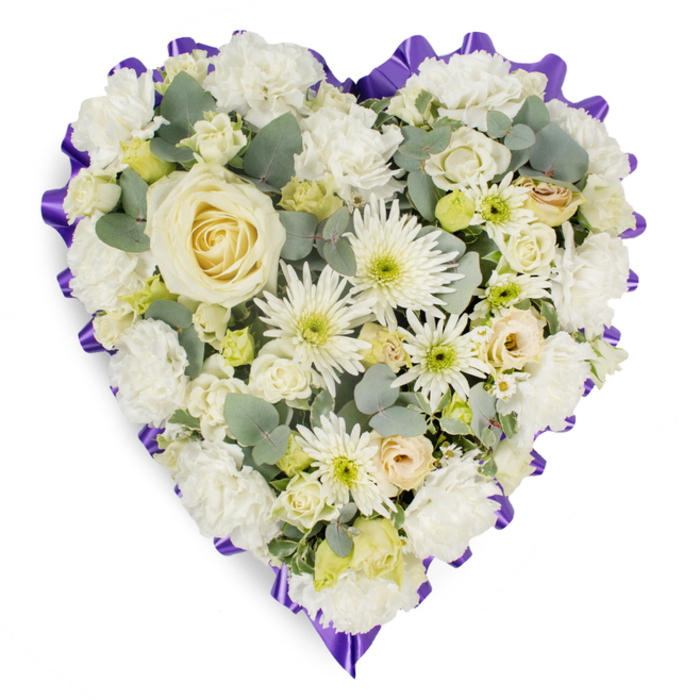 A generous, heart-shaped floral cushion is shown in full view against a bright white background, every inch of its surface packed with serene white and cream-toned blooms that speak of purity, respect, and calm farewell. At the core rests a creamy white rose, its petals tightly yet elegantly layered, creating a poised centrepiece that naturally draws the gaze and symbolises enduring love. Surrounding this central rose, a lush collar of white carnations curves along the contours of the heart, their layered, frilled petals overlapping to form a soft, pillowed texture reminiscent of comforting fabric. Between these sit slender-petalled white spider chrysanthemums, their starburst shapes and pale green hearts adding movement, fine detail, and a gentle contrast in form. Smaller rosebuds in shades of ivory, soft cream, and the faintest hint of lemon are carefully placed, some just beginning to open, suggesting delicate, cherished moments held in memory. Threaded among the blooms are tiny clusters of subtle filler flowers and buds that create a seamless, full look without disturbing the calm palette. Sprigs of silvery-blue eucalyptus foliage rest quietly between the petals, their rounded leaves adding depth, cool colour, and a whisper of natural fragrance. The entire heart is edged with a ruffled ribbon in a rich, deep purple, its pleats forming a pronounced, decorative frame that clearly defines the symbol of the heart and adds a touch of formal dignity. This thoughtful tribute feels like one a North Watford family would choose for a funeral or memorial, perhaps delivered to a service near St Albans Road, offering a graceful expression of sympathy and remembrance.