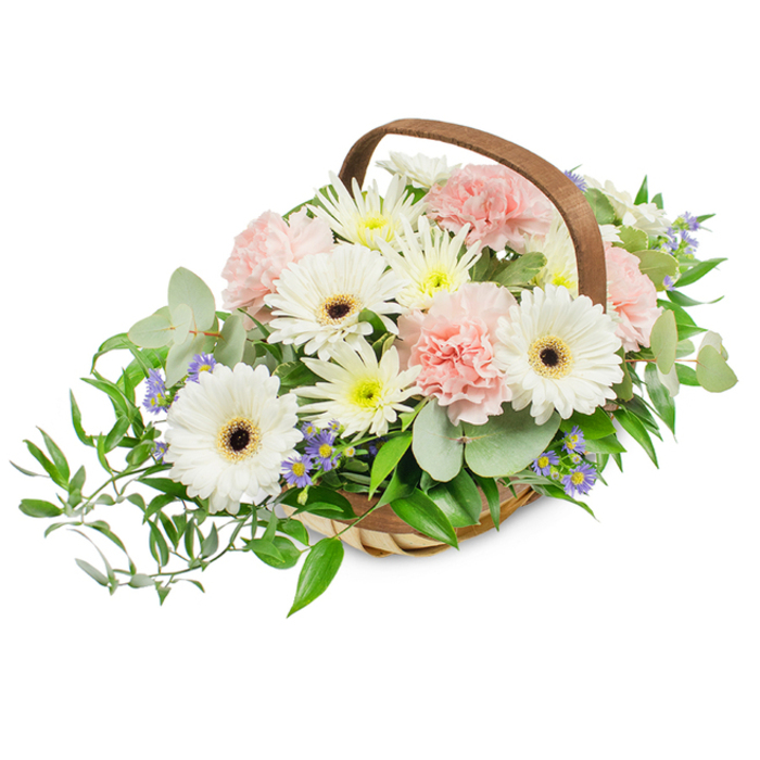 A classic, rounded arrangement overflowing from a rustic, pale-woven willow basket with an arching brown handle, presented against a pristine white background to highlight its soft, harmonious palette. The composition is centred on several large white Gerbera daisies whose broad, pristine petals encircle deep, almost-black centres, creating bold focal discs that catch the gaze. Interwoven among those are abundant pale pink carnations, their ruffled, layered petals creating a plush, romantic texture and a gentle blush that warms the overall scene. Numerous smaller daisy-like blooms in white and muted yellow - likely chrysanthemums or garden asters - sit between the larger flowers, filling the arrangement with a measured, natural fullness and lending tiny points of light across the mass of blooms. Subtle accents of tiny lavender-blue star flowers peek through the foliage, bringing a cool counterpoint that enriches the colour story without stealing the soft mood.

The greens are thoughtfully varied: rounded, silvery eucalyptus leaves provide a calming, contemporary sheen and a faint aromatic lift, while dark, glossy ruscus branches trail outward from the left side, adding graceful movement and depth. Other vivid green leaves complete the dense, supportive base so the flowers appear cushioned and abundant. Bathed in even, bright lighting that reveals petal texture and the fresh sheen of the foliage, the bouquet reads as both elegant and caring. This arrangement is ideal for occasions demanding understated beauty - from Mother's Day and thoughtful thank-you gestures to get-well wishes or a gentle sympathy offering - and reflects the kind of considered craftsmanship a local North Watford florist would assemble for delivery to nearby homes and small gatherings.