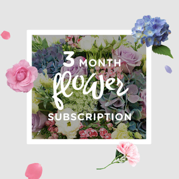 The image shows an elegant bouquet from a three-month flower subscription, styled with the kind of quiet sophistication you might expect from a trusted North Watford florist who knows the rhythm of local homes and workplaces. At first glance, your eye is drawn to the voluminous heads of blue hydrangeas at the centre, their petals overlapping like small, silky shells, creating depth and a gentle shadowed heart to the design. Around them, blush and lilac roses are tucked in thoughtfully, their layered petals soft and velvety, each rose cupped just enough to catch the light and show off subtle tonal shifts from creamy centres to deeper edges. Slender stems of lisianthus thread upward and outward, bringing a sense of lift and movement; some flowers are fully open with frilled edges, while others remain in elegant bud, promising more beauty in days to come. Lush green foliage cradles the blooms, with leaves of slightly different shapes and finishes-some smooth and glossy, others more matte and textured-giving the arrangement a natural, garden-like character that could have been gathered from a well-tended plot near Garston or along the quieter streets off St Albans Road. The bouquet sits comfortably within its container, neither overly tight nor sprawling, evoking relaxed refinement rather than formality. You can almost sense the coolness of the petals and the faint, layered perfume that would drift across a living room or reception area, inviting a pause. As part of a subscription, this arrangement suggests a gentle ritual: each month, fresh seasonal variations on these soft blues, pinks, and purples arrive at the door, quietly refreshing the atmosphere of home or office.