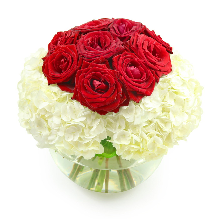 In this image, a clear, round glass fishbowl vase showcases a meticulously crafted floral arrangement of deep red roses and pure white hydrangeas, set against a bright white background so every subtle nuance is visible. The composition is almost perfectly spherical, with a dense cluster of ten to twelve red roses forming the upper dome. Each rose is in its prime, petals velvety and richly coloured, spiralling outwards from tight centers into lush, open blooms. The red is a classic, elegant shade-neither too dark nor too light-suggesting timeless romance, like an anniversary dinner shared at home in North Watford after a day wandering near the playing fields and local green spaces. Supporting this crown of roses is a voluminous base of white hydrangeas, shaped into a smooth, rounded cushion that encircles the stems and fills the vase's opening. The hydrangea florets are small and closely packed, creating a billowy, cloud-like surface that contrasts beautifully with the smooth, defined petals of the roses. Together, the red and white form a bold yet graceful palette, symbolising both passion and sincerity. Through the crystal-clear glass, you can see the neatly trimmed green stems submerged in clean water, adding a fresh, natural line of colour that grounds the design. The light catches on the curve of the vase, giving subtle reflections that enhance the arrangement's modern, polished feel. This bouquet looks like it has been carefully arranged by an experienced North Watford florist, perfectly suited for marking an anniversary, renewing vows, or simply adding a touch of refined romance to a dining table or bedside in a local home.