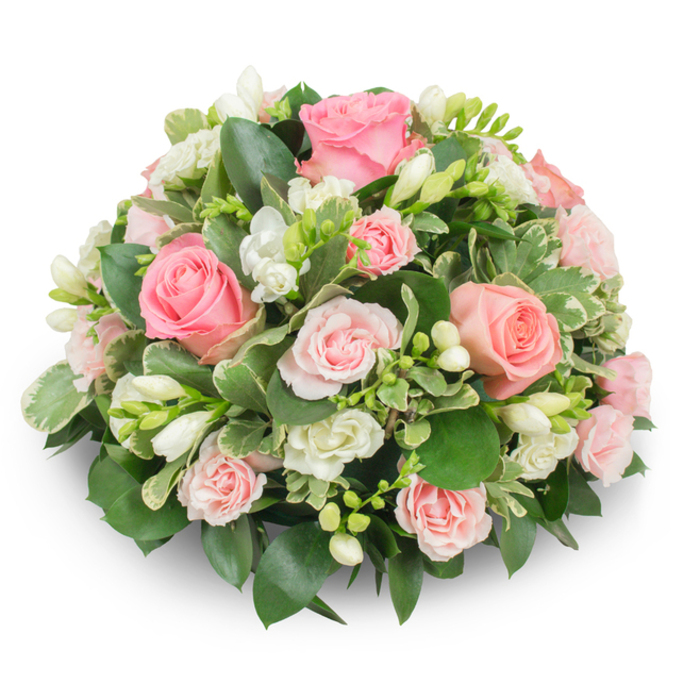 A meticulously composed, rounded floral cushion presenting a gentle duet of pink roses and pure white freesias, photographed against a clean white backdrop so colours and layers are unmistakable. The pinks vary from soft blush to a subtle coral-salmon in the larger garden-style roses, whose velvety petals open in concentric spirals; intermingled are sprays of smaller pink roses that knit the composition together and create depth. Pockets of white freesia stand upright through the mass of roses-some blooms fully open with tiny yellow stamens visible, others still in tapered buds-adding a vertical, delicate texture to an otherwise soft, horizontal dome. The foliage is deliberately abundant and varied: broad, dark green leaves that form a solid base (think ruscus or salal) and eye-catching variegated leaves edged in cream, likely pittosporum, which lighten the overall tone and introduce motion at the arrangement's edges. There are no exposed stems; the piece is compact, formal, and balanced-crafted to read as one graceful volume. In soft natural illumination the petals look tender and inviting, the freesias adding a sweet, slightly citrus lift to the roses' fuller scent. This arrangement is ideally chosen for somber occasions-a dignified funeral tribute, a memorial display, or a gentle get-well gesture-where its calm colourway and reassuring form convey sympathy, warmth, and respectful beauty to families across neighbourhoods around North Watford, from the High Street to residential streets bordering Cassiobury Park.