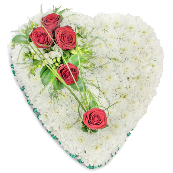 In this image, a large heart-shaped funeral tribute sits against a simple white background, allowing every floral detail to stand out clearly. The body of the heart is completely covered with small-headed white chrysanthemums, each bloom placed so closely that no gaps of foliage show through. Together they form a soft, cushion-like surface that looks plush and comforting, the snowy white petals suggesting purity, peace, and a gentle farewell that would feel at home in a quiet North Watford memorial service. At the upper left curve of the heart, three velvety red roses form the focal point, their deep crimson petals unfurling in tight, elegant spirals. Around them, glossy dark green leaves, feathery fern-like fronds, and tiny white filler flowers create layers of texture, giving depth to the arrangement and a natural, garden-like feel. From this main cluster, the design flows diagonally across the heart: two more red roses are placed further down and towards the right, each spaced carefully so the eye travels smoothly across the tribute. Connecting these elements are slender stems and sweeping strands of bright green ornamental grass that trace gentle arcs over the white chrysanthemum base, adding movement and a sense of living energy. The perimeter of the heart is edged with a deep green satin ribbon, pleated neatly to create a clean, structured border that frames the flowers like a picture. This carefully crafted tribute speaks of deep love and enduring remembrance, the kind of piece chosen by families in North Watford to accompany a funeral service, cremation, or graveside ceremony with quiet dignity and grace.