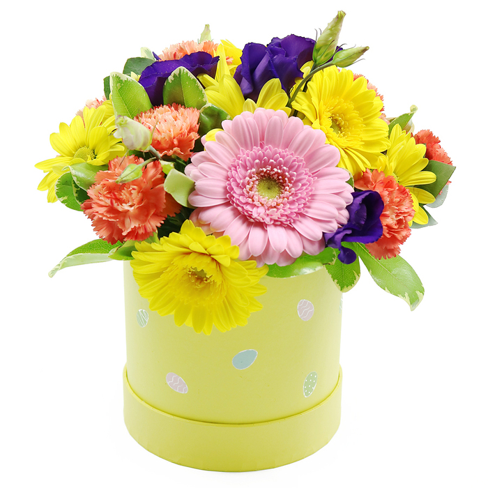 This Easter hatbox arrangement is presented like a little celebration of spring light, photographed crisply against a white background so every colour and texture stands out. The flowers form a compact, rounded dome that overflows the soft pastel lime-yellow cylindrical box, giving an impression of abundance and care, as if hand-gathered from borders in North Watford gardens at the first sign of warmer days. At the centre front sits a prominent pale pink Gerbera daisy, its perfectly layered petals radiating evenly from a light green disc, creating a calm yet cheerful focal point. Surrounding this star bloom, numerous bright yellow chrysanthemums and other daisy-like flowers fan out, their fine petals catching the light and infusing the arrangement with a sunlit glow. Between them, plush coral-orange carnations add a gentle warmth and a slightly nostalgic feel, their ruffled petals creating soft shadows and depth. Deep violet-purple lisianthus blooms peek through the brighter tones, bringing drama and a cool contrast that anchors the design. Threaded among all these blossoms is an assortment of fresh green foliage, some leaves displaying delicate variegation along their edges, which introduces subtle pattern and a natural, garden-style texture. The hatbox container itself contributes to the story: its pastel yellow-green surface is scattered with small, pastel Easter egg illustrations in shades of blue, pink, and white, some finished with fine dots and stripes, suggesting a playful, family-friendly celebration. The overall mood is bright and uplifting, perfectly suited for an Easter table, a spring birthday, or a 'thinking of you' gesture delivered across North Watford, bringing a burst of colour and optimism into any home.