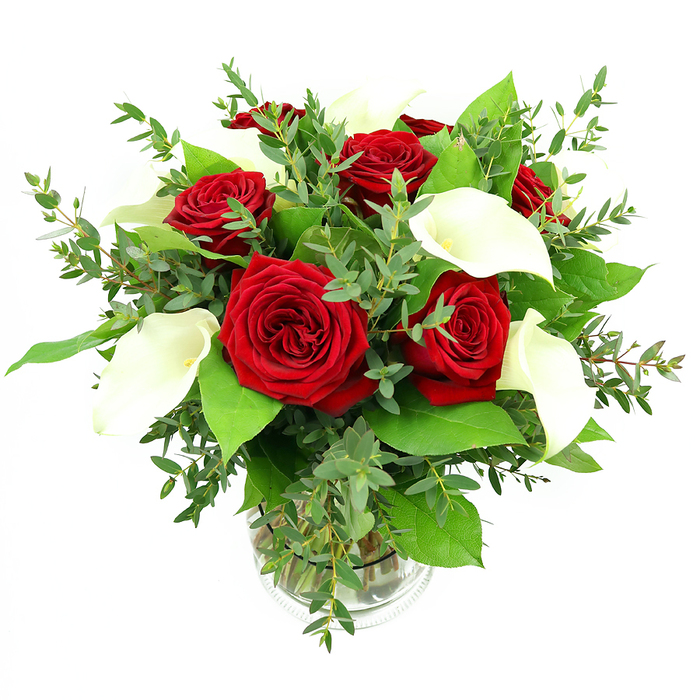 In this image, a classic yet contemporary bouquet of deep red roses and white calla lilies is artfully arranged in a clear glass vase, set against a smooth white backdrop that amplifies every tone and texture. At the core are six to seven red roses, fully open and richly saturated, their velvety petals forming intricate spirals that seem to draw the gaze inward. The crimson colour is intense but not harsh, reminiscent of a deep wine hue that feels both romantic and dignified. Nestled among these roses are about four or five white calla lilies, each blossom sculpted into a graceful trumpet that curves upward in a gentle arc. Their surfaces are sleek and slightly glossy, reflecting the bright overhead light, and each lily reveals a central yellowish spadix that adds a soft, sunlit warmth to the otherwise cool white. Surrounding the main blooms is a generous collar of mixed greenery. Eucalyptus branches with slim, rounded leaves trail delicately through the arrangement, their silvery-green tones lending an airy, slightly rustic note that could easily echo the greenery found in nearby Cassiobury Park. Broader, darker green leaves cluster nearer the base, giving structure and a lush, almost forest-like depth behind the flowers. The bouquet is held in a cylindrical glass vase with fine ribbing at the base, the stems clearly visible and submerged in clean water, lined up neatly as you might expect from an experienced North Watford florist. The lighting is bright and even, with no harsh shadows, accentuating the crisp contrast between the red roses, white callas, and assorted foliage. The overall impression is of a sophisticated floral gift, ideal for a romantic dinner near North Watford Junction, a polished thank-you gesture, or an elegant centrepiece for a family celebration.