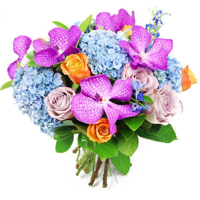 Set against a simple white background, this sophisticated hand-tied bouquet showcases a carefully balanced blend of colour and texture that feels perfectly at home in North Watford's modern apartments and period houses alike. Dominating the upper layer are several spectacular Vanda orchids in deep magenta-purple tones, each petal generously sized and patterned with delicate white speckles that create a distinctive, almost checkered effect. These orchids sit gracefully amid large, rounded clusters of soft powder-blue hydrangeas, whose many petits florets form plush, cloudlike domes, giving the arrangement generous volume and a serene, cooling presence. Interspersed among these statement blooms are roses in two complementary palettes: some in dusky lavender-grey and mauve shades, adding a refined, romantic character; others in lively peach-orange hues, introducing warmth and a hint of playful sunshine. Fine, spiky sprigs of deeper blue accent flowers, similar to delphiniums, emerge subtly between the fuller heads, lending extra dimension and a vertical accent that keeps the eye moving. Surrounding everything is a ring of dark green foliage, the leaves broad and slightly glossy, providing a natural, grounding backdrop that enhances the intensity of the coloured blooms. At the base, the stems are neatly cut, gathered, and tied, clearly visible as a classic hand-tied finish from an experienced local florist in North Watford. The bouquet's rounded, domed silhouette and luxurious mix of orchids, hydrangeas, and roses make it ideal as a statement centrepiece for a dinner near Garston or as an elegant gift delivered to celebrate anniversaries, birthdays, or heartfelt thank-yous.