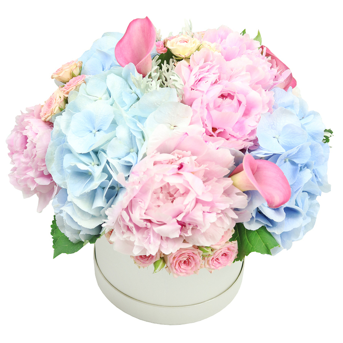 Central to a light-grey matte round hatbox, this opulent pastel bouquet gathers its blooms in a dense, romantic tumble. The largest stars are plush pink peonies, their ruffled petals catching the light, while masses of pale blue hydrangeas provide a cool, airy counterpoint. Between them, sprigs of cream and blush spray roses weave in and out, and two vibrant pink calla lilies rise aloft like ceremonial trumpets, their trumpet shapes lending drama and height. Soft green foliage--silvery dusty miller and fresh leaves--peeks along the rim, adding texture and a touch of wild garden charm. The arrangement holds its form in a full dome, a testament to careful planning and patient artistry by a North Watford florist who understands how color, line, and scent work together. The overall mood is refined, romantic, and just a touch regal, making it an ideal centerpiece for weddings, anniversaries, Mother's Day, or elegant birthday celebrations. It feels tailored for the home as well-a serene gift that can elevate a room with quiet sophistication. The scene communicates craftsmanship and thoughtful provenance, from the sturdy box to the fresh stems with crisp stems and delicate fragrance, ensuring a lasting impression long after the flowers are first viewed. Delivered with meticulous care, this bouquet speaks of trust, freshness, and the generous heart of a local craftsman serving North Watford and beyond.