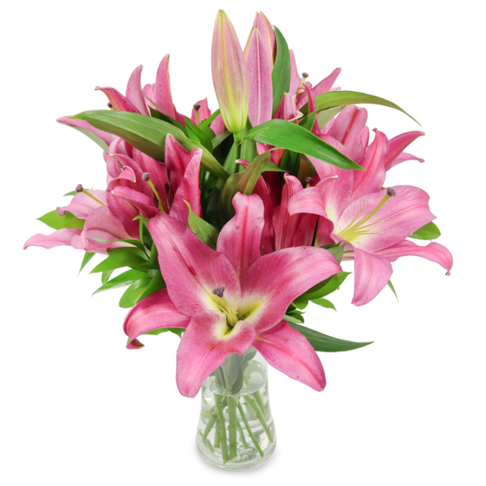 An elegant cluster of freshly cut pink lilies is arranged with practiced ease in a clear glass vase, photographed on a clean white background to let the flowers' colour and detail take centre stage. A profusion of blooms in rich fuchsia and rosy-pink shades opens wide to reveal slightly paler centres that lead into a chartreuse-yellow throat, the transition to creamy white creating a soft inner glow. Prominent, dark burgundy stamens rise from the heart of each flower, dusted with golden pollen and offering a striking, almost painterly contrast to the vivid petals. Among the open faces are many elongated buds - from tight pale pink spears to fuller, deeper magenta tips with subtle green hints - suggesting days of evolving beauty ahead. The arrangement is underpinned by abundant, glossy lance-shaped leaves and sturdy stems that create a verdant framework and visual depth. Through the transparent vase you can see the neatly cut stems standing in clear water, a small but important sign of the bouquet's freshness and professional care from a local workshop. As a florist serving North Watford - delivering to addresses around Watford Junction, Hempstead Road, and nearby neighbourhoods - I imagine this bouquet bringing warmth to a kitchen table, a hallway console, or a bedside, and working equally well for celebrations, sympathy, or a bright, everyday gift. The studio lighting emphasizes texture and colour, while the overall composition conveys both vitality and refined restraint.