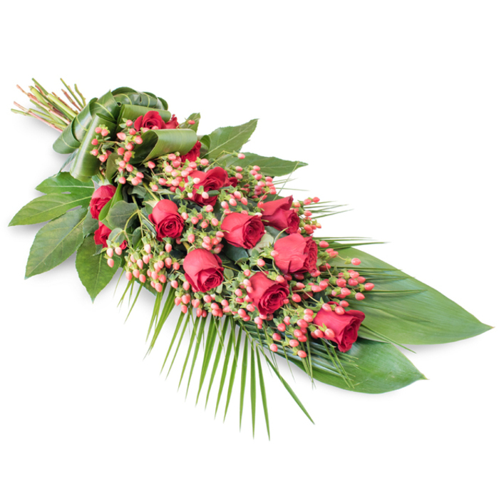 An elongated red rose funeral spray is photographed on a crisp white background, the simplicity of the setting ensuring that every petal, leaf, and berry becomes clearly defined. The arrangement stretches diagonally across the frame, starting with a neatly gathered bundle of stems at the upper left and tapering into a soft cascade of greenery at the lower right, creating a gentle, almost river-like flow. Along this line, around two dozen deep red roses are positioned with careful balance; some are tight buds symbolizing unspoken words, others are half-open in mid-bloom, and a few are fully unfurled, their velvety petals layered in rich scarlet tones. Nestled among these roses are generous clusters of small, spherical Hypericum berries, their hues ranging from coral pink to a muted, pinkish-red, introducing a subtle contrast and a tactile, bead-like texture. The base of the spray consists of broad, glossy dark green leaves - likely Ruscus or Salal - whose smooth, reflective surfaces provide a strong, architectural foundation, much like the established streets and homes around North Watford. From within this leafwork, slender, feathery palm fronds stretch outward and down, particularly to the lower right, softening the outline and giving the arrangement a dignified, teardrop or crescent profile. The stems at the top are bound with a wide band of wrapped green foliage, forming a natural handle that gives the piece a tidy, handcrafted finish. The overall impression is of a classic, heartfelt sympathy tribute, a red rose spray designed to rest gracefully on a coffin, at the front of a chapel, or by a graveside, offering a quiet, dignified message of love and remembrance for families in North Watford.
