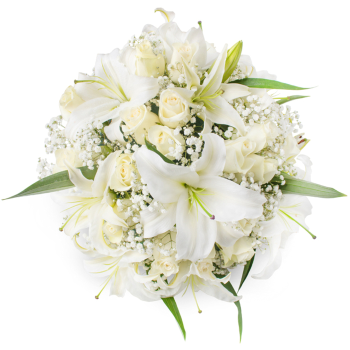 Seen from overhead on a clean white background, this flawlessly round bouquet reads as an exercise in refined simplicity, brought together with skilled hands in North Watford. Prominent white lilies dominate the surface, their wide, trumpet-shaped petals curving outwards and revealing light green stamens that give each bloom a subtle inner glow. Intermingled are cream and ivory roses, predominantly in tight bud or partially open, their layered petals forming soft rosettes that contrast the lilies' bold shapes. Threads of Baby's Breath (Gypsophila) are artfully scattered throughout the arrangement, their tiny white blossoms forming a delicate, frothy veil that softens transitions between larger flowers and adds tactile intricacy. Small flashes of fresh green foliage peek from beneath the massed blooms, particularly at the edges, providing a crisp visual frame and reinforcing the bouquet's circular geometry. The lighting is even and soft, allowing textures to read clearly - the lilies' satiny sheen, the roses' velvet matte, and the airy, papery texture of the gypsophila. Envision this piece arriving for a wedding at Vicarage Road or as an understated centerpiece for a reception near Watford Junction; its palette and form convey purity, celebration, and respectful elegance. Prepared with local care by Flower Delivery North Watford, the bouquet suggests a restrained fragrance profile - the sweet, clean perfume of lilies softened by tea-rose notes and a grassy whisper from the leaves - a classic choice for ceremonies, anniversaries, and memorable gifts in the community.