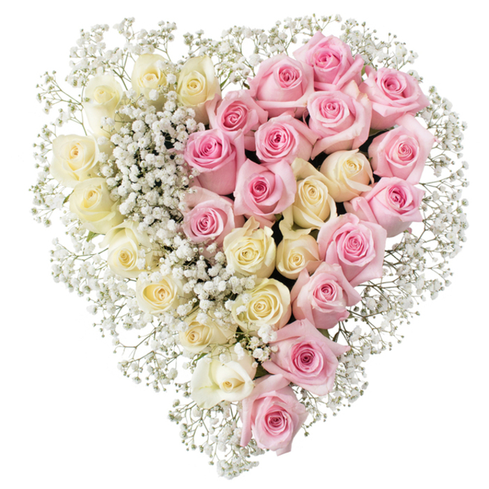 A full, perfectly shaped floral heart is shown against a clear white backdrop, designed as an elegant funeral tribute by a florist who understands the quiet language of flowers. The heart is distinctly split into two colour stories, meeting seamlessly along a central line. On the left half, an abundance of creamy white and pale yellow roses are tightly grouped, each bud and bloom unfolding in soft, rounded layers that evoke purity, remembrance, and a sense of calm. Opposite them, the right half is filled with equally lush pink roses in a gentle, medium tone, their petals gently curled and open, conveying affection, gratitude, and warm memories. Delicate sprays of white baby's breath, with their tiny, cloud-like blossoms, are threaded throughout both sides of the heart and woven carefully around the edge, outlining the form with a light, feathery border. The roses sit high and densely packed, giving the arrangement a plush, cushion-like appearance that would rest with dignity atop a coffin or on a stand at a North Watford memorial service. The lighting is soft and even, making the pastel shades appear soothing rather than bright, which suits the reflective mood of a farewell. This design feels especially appropriate for honouring someone deeply loved-perhaps a devoted partner, parent, or grandparent-at a service near North Watford, from local churches to gatherings close to Cassiobury Park. The symmetrical layout and careful choice of colours speak of balance and unity, forming a tender heart that quietly expresses both loss and enduring love.