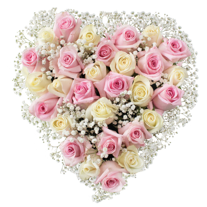 This stunning heart-shaped floral masterpiece, brought to life by artisans in North Watford, illuminates a canvas of soft creams and delicate blush pinks. About 30 to 35 roses, some in gentle half-bloom, others unfurling with full, velvety grace, are densely arranged to create an unmistakable symbol of affection and memory. Cream roses tip towards pale yellow, while the pink ones add a gentle blush, together forming a palette that radiates comfort and refined sentimentality. Interspersed throughout, tiny sprays of white baby's breath offer an airy finish, their minute stars lending a sense of lightness and dimension. Every blossom appears chosen with intention, coming together in a sculpted heart, outlined by the contrast of flower and pristine white background. This arrangement, often crafted by local North Watford florists for occasions of tribute or celebration, captures both sorrow and solace. It speaks softly at farewells held near Garston or Watford Junction, while also embodying gratitude and admiration for Mother's Day or a silver anniversary. The balance of form and colour, combined with the bouquet's impeccable freshness, make it a graceful gesture that offers peace and quiet remembrance across North Watford.
