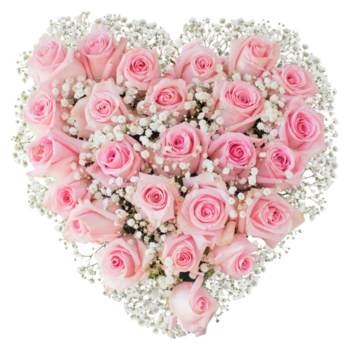 A perfect heart rendered in living petals, composed of a lush assembly of soft-pink roses and sprinkled profusely with fine white gypsophila, occupies the frame against a spotless white field. Each rose contributes to the overall velvety density: some blooms are tight and compact, their outer petals still curled inward; others have begun the slow, elegant work of unfurling, exposing concentric rings of fragile tissue that catch the light like porcelain. The pinks range from whisper-soft pastels to slightly deeper rose notes, creating a subtle internal shading that reads like a blush across the surface. Intervening clusters of baby's breath - tiny, star-like white blossoms on spindly stems - bring a lace-like airiness, their minimal form emphasising the heart silhouette and adding textural contrast that lifts the arrangement from mere colour to tactile architecture.

Lighting is even and bright, chosen to reveal the freshness of each bloom and the meticulous hand that has placed them; there's a studio clarity that lets you appreciate the arrangement's craftsmanship as much as its sentiment. Close your eyes and you might recall the gentle green scent of stems and petals; open them and you see a shape designed for intimate occasions - weddings, anniversaries, vows renewed - or for a quiet, heartfelt appreciation offered to someone returning from a long hospital stay or a thoughtful remembrance after a funeral. I imagine this piece crossing local streets - delivered carefully past Charter Place or along the River Colne walkways - as a tangible, floral message of love and tenderness, pared-back and profoundly sincere.