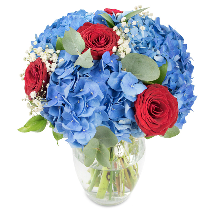 A meticulously composed bouquet in a transparent glass vase is captured against a pristine white surface so that colour, texture, and form are immediately legible. The arrangement's dominant voice comes from large clusters of vivid sky-blue hydrangeas-each cluster composed of many small, papery florets that together create a voluminous, cushion-like mass. Their cool, cerulean tones provide a sweeping backdrop, while three richly hued red roses are strategically placed to offer dramatic points of focus; those roses show tight, velvety petals that suggest both elegance and intimacy. Delicate sprays of white baby's breath drift between the stronger shapes, their tiny blooms introducing a whisper-light texture and visual airiness that lifts the overall silhouette. Soft, oval eucalyptus leaves in muted green thread through the bouquet, adding depth, a faint herbal scent, and an organic rhythm to the composition. The glass vase's softly rounded base and gently tapered mouth permit a clear view of the green stems standing in water, signalling the careful handling that keeps stems crisp and flowers long-lasting. Bright, even lighting accentuates the hydrangeas' layered petals, the rosy velvet of the buds, and the silvery sheen on the eucalyptus-details I would point out to a customer choosing a centrepiece for a bright kitchen or living room in North Watford, perhaps for a gathering near The Parade or a picnic in Cassiobury Park. This arrangement reads as celebratory, romantic, and composed-suitable for anniversaries, birthday tables, or patriotic displays at local events.