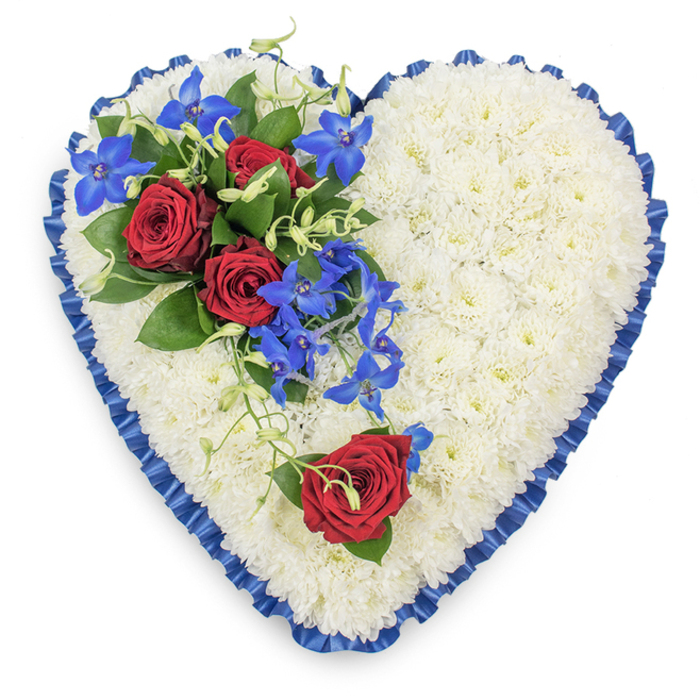 Elegant heart-shaped funeral tribute composed of tightly massed white chrysanthemums, their small, rounded petals forming a dense, almost velvety blanket of pure white across the entire surface of the heart. The outer contour is crisply defined by a rich royal blue satin ribbon, pleated and ruffled with care so that each fold adds texture and a gentle shimmer as light glides over the fabric. On the upper left curve, a luxurious spray of flowers draws the eye: three deep red roses in full bloom sit nestled among dark, glossy foliage, their layered petals soft and velvety, conveying deep affection and respect. Woven through this cluster are striking electric blue dendrobium orchids, their star-like petals showing flashes of inky blue and purple, trailing downwards and inward as if gently cascading over fresh snow. Fine, curling light green tendrils soften the edges, bringing a natural, garden-grown feel to this otherwise highly structured design. On the lower right curve, a single red rose, equally lush and open, rests alone with a few leaves, providing a visual echo of the main spray and creating balance across the heart. The arrangement is shown from above, likely on a florist's bench in North Watford before being delivered to a local church or crematorium near St Albans Road or Radlett Road. Every detail-from the careful spacing of the chrysanthemums to the precision of the ribbon work-suggests a tribute created to honour a much-loved person, offering a serene blend of purity, passion, and calm for a funeral or memorial service.