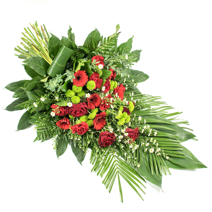 Set against a stark white background, this long, teardrop-shaped sympathy spray appears both structured and softly flowing, the kind of arrangement often chosen for a casket or front-facing tribute at a North Watford funeral service. The upper left begins with a striking vertical accent: tall green stems or leaves are bound together into a neat, upright bundle, while one broad, dark green leaf is artfully wrapped around their base, giving a sculptural, contemporary touch. From this point, the flowers cascade diagonally downwards, narrowing towards the lower right into a refined, tapering tip. Deep red blooms dominate the centre, with velvety red roses, some fully open and others still unfurling, flanked by red gerbera daisies with dark centres and clusters of richly textured red carnations. These reds form a warm, emotional core that speaks of love and remembrance. Interspersed through the red cluster, lime green button chrysanthemums add a bright, almost neon freshness, their round pompon heads offering a playful texture that keeps the design from feeling too heavy. Tiny white filler flowers, reminiscent of gypsophila or miniature daisies, glimmer throughout the arrangement like small points of light. Surrounding all of this, an abundance of foliage - glossy salal-like leaves, airy leatherleaf fern, and other mixed greens - frames the spray, creating depth and fullness. At the lower right, several long, broad green leaves splay outward, echoing the spray's gentle movement and leading the eye outward. The overall composition is balanced, dignified, and carefully crafted, ideal for families in North Watford seeking a tribute that combines traditional red funeral flowers with a fresh, modern accent for a final farewell, whether at a quiet chapel, local cemetery, or crematorium service.
