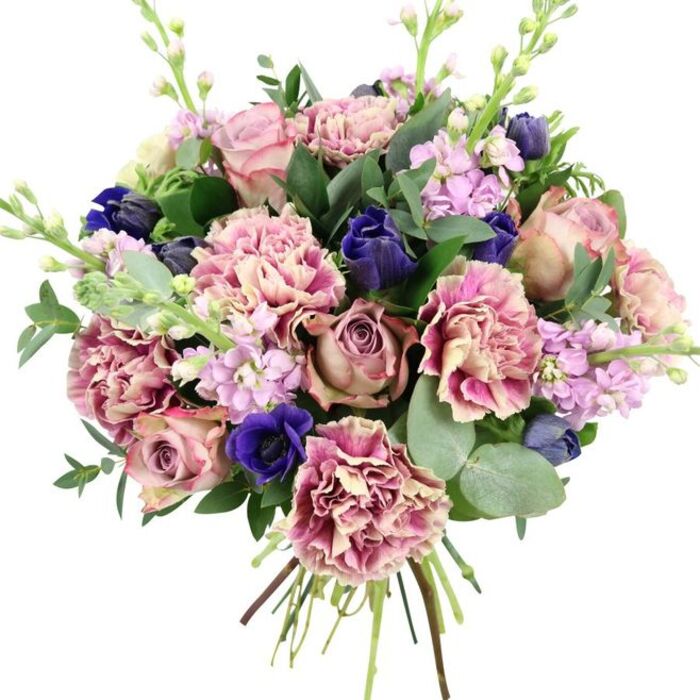 Set against a clean white background, this hand-tied bouquet feels like a carefully composed portrait of modern romance, the sort of arrangement a local florist in North Watford might craft for a special anniversary or an elegant thank you. Central to the design are large, velvety garden roses, their petals spiralling outward in layered tones of blush pink, dusty mauve, and antique rose, creating a focal point that is both classic and contemporary. Surrounding them, plentiful frilled carnations add fullness and texture; their blooms are softly shaded, with creamy centres blurring into blush and then to deeper rose and plum at their rippled, feathery edges. Nestled among the pinks are intriguing deep blue elements: several tight, tulip-like buds in rich indigo and a standout royal blue anemone with a dark, almost black eye, giving the bouquet a sophisticated edge that contrasts beautifully with the softness of the roses. Slender stems of pale lavender and lilac stock weave through the design, each topped with multiple tiny flowers that add height, fragrance, and a light, airy quality. The flowers are supported by abundant greenery, from polished dark green foliage to the distinctive, rounded discs of silvery eucalyptus, which fan out gracefully and hint at a cool, calming scent. At the base, the stems are clearly visible, cut clean and tied securely, ready to be placed in a favourite vase in a North Watford home near the High Street or just off St Albans Road. The colour palette moves smoothly from pastel romance to deeper, moodier tones, making this bouquet ideal for birthdays, celebrations, or simply bringing an uplifting touch of seasonal colour indoors.