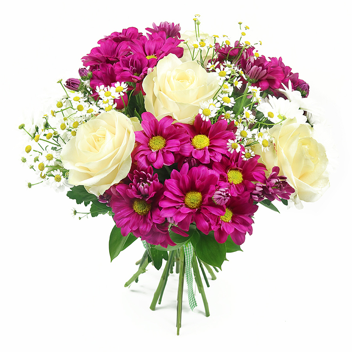 A lush, rounded bouquet of mixed flowers stands out sharply against a pristine white background, every detail crisp and clear as if displayed in the window of a North Watford florist on a bright morning. Four large creamy roses form the elegant core of the arrangement, their velvety petals unfolding in perfect spirals from pale ivory to a whisper of buttery cream at their centres. Clustered generously around these classic blooms are rich fuchsia-magenta chrysanthemums, lively and abundant, each flower featuring a distinct yellow-green centre that adds sparkle and a playful contrast to the softness of the roses. Threaded between the larger heads are delicate sprays of tiny white daisies, reminiscent of chamomile or feverfew, each with a miniature sunny yellow disc at its heart, bringing a light, garden-fresh air that calls to mind relaxed summer days in nearby parks and gardens across North Watford. Here and there, smaller chrysanthemum buds in a deeper purple-pink hue peek through, offering subtle variation and a sense of depth, as though the bouquet will continue to evolve over the coming days. The blooms are supported by a foundation of lush green foliage, from the familiar serrated rose leaves to the broader chrysanthemum greens, all combining to create a full, verdant backdrop. At the base, the stems are cleanly gathered and bound with a charming green and white gingham ribbon, suggesting a hand-crafted, personal touch from Flower Delivery North Watford, ready for same-day delivery to nearby homes and offices. Bright, even lighting illuminates the bouquet, casting gentle shadows that emphasise the textures and layers. The overall mood is one of cheerful sophistication, perfect for birthdays, congratulations, or simply bringing a burst of colour into a North Watford living space.