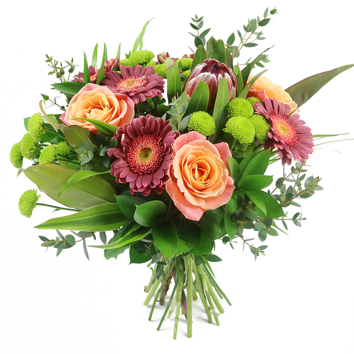 Captured against a bright, uncluttered white backdrop, this hand-tied bouquet radiates colour and expert craftsmanship, like something freshly prepared for delivery to a North Watford doorstep. The focal blooms are generous roses in layered shades of peach, apricot, and salmon pink, their velvety petals unfolding in soft spirals that reveal subtle variations of tone from pale, almost creamy edges to richer, warm-orange centres. Threaded between these romantic roses are striking gerbera daisies in deep magenta and burgundy, their numerous slim petals fanning out from lighter, textured central disks that add definition and a lively, almost sunburst effect. Near the upper portion of the bouquet, a dramatic King Protea dominates with its distinctive, artichoke-like structure: tightly packed bracts show a blend of maroon and reddish-brown hues, fading into gentle blush pink along spiky tips, giving the arrangement a stylish, contemporary edge. Bright lime-green Santini chrysanthemums are sprinkled throughout, their small, spherical flower heads resembling miniature pom-poms, injecting sudden bursts of fresh, zesty green that lift the entire colour palette. Surrounding and supporting the blooms, an abundant selection of foliage provides structure and depth, from broad, glossy dark-green leaves that anchor the design to slender, grass-like blades and rounded, silvery-green eucalyptus sprigs that soften the outlines and suggest delicate fragrance. The stems are neatly aligned and visibly hand-tied at the base, indicating a carefully crafted bouquet one might carry along North Watford's residential streets after a special occasion. Overall, the arrangement feels rich yet balanced, ideal for marking milestones, expressing heartfelt thanks, or brightening a living room with a modern flourish of colour and texture.