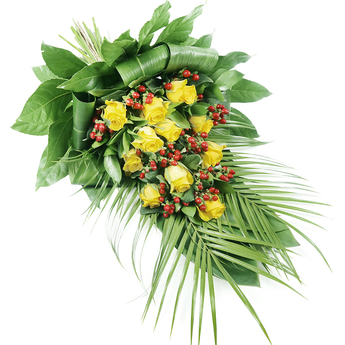 A refined funeral spray of yellow roses and red berries rests visually across a clean white background, its elongated, teardrop shape carefully designed to lie flat on a coffin or memorial table. The arrangement begins with a structured head at the top left, where a compact cluster of broad, dark green leaves creates depth and support. Some of these leaves are artfully folded, their edges tucked and overlapped to form a layered, almost pleated effect that speaks to skilled, hands-on craftsmanship. From this solid base, around a dozen and more yellow roses are threaded along the length of the spray, each bloom slightly different in character. Some roses are just beginning to open, with petals forming a tight spiral, while others have blossomed more fully, revealing a rich heart of layered, buttery yellow that seems to glow with inner light. Among the roses, sprays of small, rounded, bright red berries appear in clusters, their smooth, shiny surfaces adding both colour contrast and a pleasing change in texture. These berries sit like tiny jewels nestled amidst the petals and greens, evoking warmth and heartfelt memories. The foliage throughout is varied and abundant, with mid-green leaves framing the blooms and longer, palm-like fronds flowing out from the lower right. These slender fronds, each composed of many narrow leaflets, sweep outward in a soft arc, extending the spray's line and giving it a graceful, tapering finish. The overall mood is peaceful, dignified, and gently uplifting, a fitting tribute for a funeral in North Watford, whether placed in a quiet chapel, delivered to a local crematorium, or carried in a cortege passing along St Albans Road.