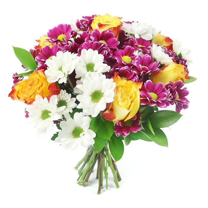 Photographed straight on against a bright white studio background, this exuberant bouquet fills the frame with colour and texture, drawing the eye immediately to its harmonious mix of blooms. The composition is rounded and dome-shaped, dense with flowers so that no single stem feels out of place. At its core are several luxurious bi-colour roses, starting with tightly clustered petals of golden yellow that gradually melt into shades of rich orange and soft reddish-pink at the tips, giving the arrangement a warm, glowing heart. These are surrounded by crisp white daisy-like chrysanthemums, each bloom perfectly formed with a vivid lime-green centre that pops against the clean white petals, echoing the fresh, open feel of green spaces around North Watford. Threaded generously between the lighter flowers are clusters of fuchsia and deep magenta chrysanthemum-style blooms, intensely coloured with dense, layered petals and yellow-green centres that mirror the daisies, tying the palette together. Glossy, dark green foliage, reminiscent of ruscus, peeks out from between the flowers, framing the brighter tones and adding an organic rhythm to the design. The stems at the bottom are tightly bound in a classic hand-tied style, their neatly cut ends visible in natural brown and green shades against the background, suggesting a bouquet freshly prepared in a local North Watford flower shop. The overall effect is joyful yet polished, ideal for placing on a dining table in a home off Gammons Lane or delivering to a colleague near North Watford station to convey congratulations, gratitude, or simple, uplifting cheer.