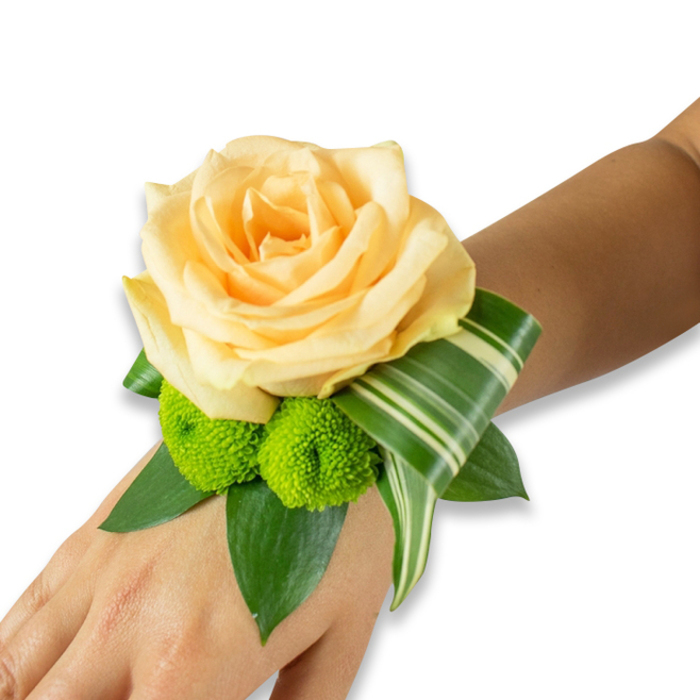 This image presents a beautifully composed wrist corsage resting on the inner forearm of a person with light to medium skin tone, photographed on a bright white background to let the colours read clearly. The centerpiece is a generously bloomed rose in pale peach with a hint of champagne, its concentric petals soft and full, creating a warm, inviting focal point. Beneath and to the lower left, two lime-green button chrysanthemums - small, almost spherical pom-pom blooms - add a joyful pop of colour and a contrasting, textured element. The floral cluster is anchored by several dark green leaves, likely salal or ruscus, that fan out to form a lush, supportive base. A distinctive variegated leaf, possibly a Dracaena or Ti leaf with crisp white stripes, is folded and curled in a deliberate arc that wraps subtly around the wrist area, lending the design an architectural sophistication. The corsage's tie or band is not shown, keeping the eye on the fresh flowers and foliage.

Imagining this piece delivered within North Watford, perhaps picked up en route to a wedding near Cassiobury Park or worn for photographs by the High Street, the arrangement reads both elegant and contemporary. The rose offers a soft, almost edible fragrance, while the green buttons bring a bright, citrusy undertone. Carefully constructed by hand, the composition balances softness and structure - romantic enough for a bride or mother of the bride, playful enough for prom - and demonstrates a sensitivity to colour and form that suits any formal celebration in our local neighbourhood.