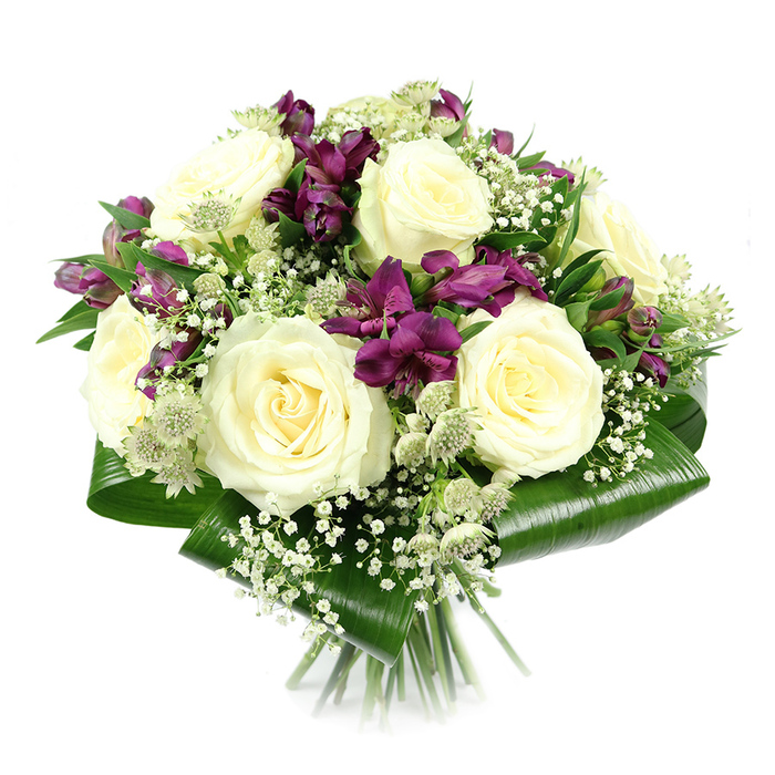 Set against a bright, uncluttered white background, this elegant hand-tied bouquet appears almost to float, its rounded, compact form perfectly balanced. At the heart of the arrangement sits a generous gathering of creamy white roses, six or more fully opened and facing outward so that each layered spiral of petals can be appreciated. The roses have a soft, velvety look, their gentle ivory tones evoking calm and understated luxury. Threaded carefully between these central blooms are vibrant stems of rich purple and magenta alstroemeria, also known as Peruvian lilies, their slender, trumpet-shaped flowers streaked with darker markings that lend drama and contrast. Fine, branching sprays of white baby's breath are interspersed throughout, forming delicate, cloud-like clusters that soften the lines of the larger flowers and give the bouquet a light, ethereal feeling. Adding subtle complexity, starry heads of greenish white astrantia emerge here and there, their pin-cushion centres and pointed bracts hinting at meadow flowers gathered on a quiet walk. The entire composition is encircled by a collar of wide, glossy aspidistra leaves, folded and wrapped neatly around the base to create a sculpted, emerald-green frame. Their smooth, reflective surfaces catch the light, grounding the bouquet and making the lighter blooms appear even fresher. The stems are tightly cinched and neatly cut, clearly showing the hand-tied technique. Created in North Watford with attention to texture and form, this bouquet feels equally suited to being delivered to a family home near Garston, a smart apartment off North Western Avenue, or a small office along St Albans Road, ideal for celebrations, quiet congratulations, or dignified sympathy gestures.