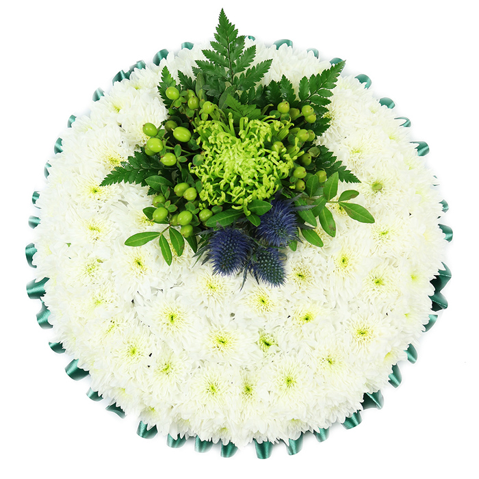 This image shows a beautifully composed circular memorial cushion, photographed from above so the whole arrangement can be clearly appreciated. The base is a close-knit carpet of spray chrysanthemums in pure white, each tiny flower pressed snugly against the next to create a perfectly smooth and even surface. Their delicate petals form a plush, cushion-like effect, while the faintly green centres lend a gentle, almost luminous undertone that softens the formality of the white. Encircling the entire tribute is a band of deep emerald green satin ribbon, pleated into small, regular folds that catch the light and give the piece a refined, almost ceremonial frame. At the upper centre of this chrysanthemum base sits a bold, textured cluster in shades of green and blue, acting as the focal point of the design. A radiant lime-green spider chrysanthemum sprawls outward with thin, curling petals that contrast strikingly with the tight, domed mums beneath. Around it are generous sprays of glossy Hypericum berries, their fresh apple-green colour suggesting vitality and renewal. Dark green ferns and foliage tuck in around the blooms, bringing a sense of movement and depth, as though a little pocket of woodland has been gathered and set gently on the cushion. Rising from this greenery are two unmistakable Scottish thistles, their rounded, spiky heads tinged with dusky blue and purple, giving the tribute an air of resilience and cultural pride. Crafted with the quiet care associated with long-established florists in North Watford, this arrangement feels perfectly suited to a funeral or memorial service at a local church or crematorium, offering a calm, dignified expression of remembrance and love.
