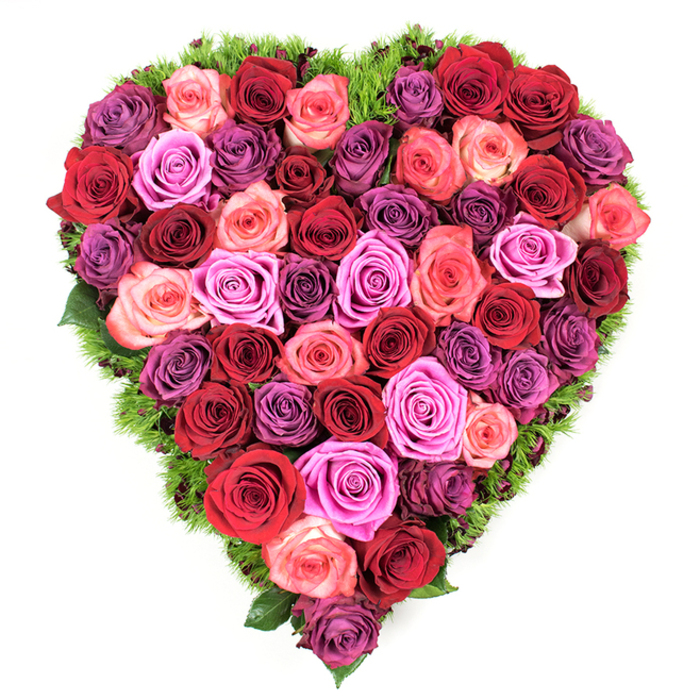An overhead view reveals a heart made entirely from an abundant assembly of roses, each bloom positioned so closely to its neighbour that the petals form an uninterrupted, sumptuous surface. The colour story reads like a love letter: deep, velvety crimsons and burgundies provide a dramatic foundation, while classic reds, coral and blush pinks ease the gaze, and streaks of magenta, fuchsia and pale lavender bring luminous contrast and subtle sophistication. Every rose is shown at its best-open and lush or gently unfurling-its velvety petals catching soft light and betraying a faint, familiar rose fragrance that suggests freshly cut stems. Encircling the heart is a slender halo of fine dark-green foliage, a mossy or fern-like trim that defines the shape and gives the composition a fresh, natural frame against the crisp white backdrop. The arrangement's craftsmanship is evident in the tight, symmetrical placement of blooms; there are no visible gaps, just a continuous, tactile mosaic of petal layers that reads as both celebratory and consoling. This design suits a wide range of intentions-romantic gestures for anniversaries or Valentine's Day, tender Mother's Day offerings, or a calming symbol for a funeral service-where the packed heart of roses signifies steady devotion and remembrance. The overall feeling is one of quiet elegance: skilled hands have balanced hue, texture and density so that the heart becomes both a visual and emotional focal point, as fitting for delivery across North Watford streets or to a family home near Oxhey.