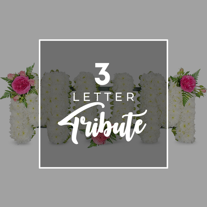 The photograph presents a refined and respectful funeral flower display, set against a soft grey background that feels like the muted light inside a chapel or funeral home in North Watford. Dominating the centre of the image is a neat white rectangular border that focuses attention on three bold floral letters spelling MOM. Each letter stands upright and is completely clad in tight clusters of pure white chrysanthemums, their domed, textured heads creating a smooth, continuous surface with no gaps, giving an impression of meticulous workmanship. On the first M, an artful embellishment of magenta-pink roses, delicate light pink rosebuds, and arching green fern leaves rests at the upper left, as if gently pinned onto a white garment. The middle O, circular and full, carries a single soft pink rose at its lower edge, subtly suggesting a final touch placed by a loved one. The second M repeats the pink rose and fern arrangement at its upper right, creating a pleasing diagonal sweep of colour across the tribute that draws the viewer's eye from left to right. Inside the white frame and layered over the flowers, clear white lettering reads 3 LETTER in a simple modern typeface, with Tribute beneath in graceful, cursive script, quietly explaining that this is a three-letter memorial design often used to honour a mother at services across North Watford and surrounding neighbourhoods. At either side of the main grouping, partially visible floral letters made from the same white chrysanthemums and pink accent roses hint at extended names or heartfelt words arranged along the length of the display. The overall mood is calm, loving, and dignified, evoking the kind of bespoke sympathy flowers created with care by local North Watford florists for funerals, wakes, and remembrance gatherings.