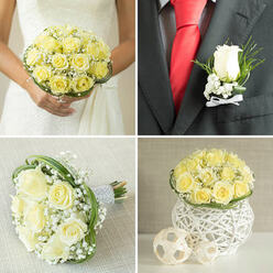 In the soft, directional light of a dressing room before the ceremony, the boutonnière reads like a concentrated little narrative: a single pale yellow rose, plush and perfectly formed, sits at the centre, its velvety petals cupped delicately around a subtle golden heart. Surrounding it are airy sprigs of baby's breath and fine, upright greenery that add lightness and a whisper of motion. The boutonnière is pinned against a smart black lapel and set beside a vivid red tie, the contrast sharpening the rose's pale colour so it reads as calm and composed amid the day's excitement. A crisp white ribbon secures the stems, its smoothness bringing a tactile clarity that complements the rose's soft surface and the greens' feathery texture. I often prepare these small accents for couples who walk from North Watford station to a nearby registry or who step out for photographs by Vicarage Road; they're tiny tokens that translate personality into scent and touch. There is an intimacy to crafting something this small - trimming each leaf, coaxing the bloom to sit at the right angle, choosing the exact ribbon knot - and those decisions show in how comfortably the boutonnière sits on the wearer, how the bloom turns toward the camera, how the scent lingers when guests lean in. A boutonnière like this speaks quietly of affection, thoughtfulness, and the careful hand of a local florist who values the small, meaningful details of a wedding day.