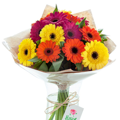 Bathed in gentle daylight, a stunning arrangement of Gerbera daisies sits proudly atop a table-its dynamic, hand-tied bouquet amplifying the energy of North Watford's community. Each blossom is a vivid testament to expert local floristry, boasting petals of radiant yellow, zesty orange, and bold magenta radiating outward from handsome dark centers. The strategic placement of each daisy creates movement and interplay, their cheerful faces angled as if nodding in the morning sun over Watford Market's bustling stalls. Lush greenery peaks between the vibrant flowers, offering rich contrast and a touch of the natural world, while the outer wrapping of brown kraft paper adds a tactile, rustic charm reminiscent of North Watford's leafy avenues. Carefully secured in a glossy, protective cellophane cone, the bouquet is poised within a crystal-clear glass vase where fresh water cradles the visible stems-each one meticulously aligned and bound with a simple twine tie. A small white tag, adorned with a stylized red rose, dangles gracefully from the twine, alluding to its thoughtful, gift-ready nature. The expertly balanced colors and fresh-cut quality make this bouquet ideal for local celebrations-a vibrant feature for birthdays, anniversaries, or a heartfelt thank you, delivered by familiar faces across the area. It's a visual symphony, spreading warmth and positivity from the heart of North Watford into homes and offices alike, the floral design capturing a sense of festivity that echoes through the community.