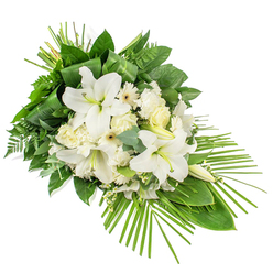 A serene, front-facing sympathy spray unfolds on a stark white background, its shape stretching diagonally like a soft green and white wave. Dominating the centre are large white lilies, some fully open with velvety petals that lift and curl, others still in elegant bud, their pointed forms adding structure and anticipation. Around them cluster creamy white roses and gently ruffled carnations, each bloom slightly different in size and tone, creating a natural rhythm among the flowers. Scattered through the arrangement are white Gerbera-style daisies, their clean petals radiating from subtle yellow or darker centres, giving a fresh, almost hopeful note to the piece. Fine white filler flowers tuck themselves into the spaces between stems, giving the impression of lightness and air and enhancing the lushness of the main blossoms. The flowers are cradled by a generous sweep of greenery: deep, glossy leaves, delicate fern fronds, and soft, rounded eucalyptus leaves in muted green-blue, all layered to form a rich cushion of foliage. At the top, slim green leaves are wrapped and gathered, creating a tidy, architectural detail, while from the lower right corner a fan of slender palm fronds arcs outward, giving the spray an elongated, contemporary profile. The overall palette of crisp white and verdant green suggests purity, reverence, and comfort, making this a dignified tribute for funerals or memorials across North Watford. Whether delivered to a quiet family service off the Hempstead Road or placed by a graveside near familiar local streets, it conveys a message of gentle remembrance and lasting respect.
