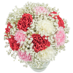 As a North Watford florist, I am enamoured with the graceful symphony of colours and textures in this captivating bouquet. Arranged with loving skill, the collection features plush carnations in shades of bold crimson, soft petal pink, and smooth ivory white, their ruffled edges clustering closely to form a harmonious, rounded shape. The blooms are interlaced with wispy strands of baby's breath-tiny white florets that swirl like gentle mist, adding a touch of cheer reminiscent of quiet mornings at North Watford's markets. Gathered in a clear, globe-like vase, the bouquet's natural stems peek through the glass, a humble anchor beneath the explosion of soft blossoms overhead. The bright, even illumination highlights every subtle difference in texture and tone, from the almost velvety feel of the carnation petals to the feathery delicacy of the gypsophila. The aesthetic strikes a balance between festive celebration and soothing calm, making this arrangement an inspired choice for meaningful gestures, from heartfelt thank-yous to commemorations of life's joyful moments. Whether gracing a breakfast table near Watford Junction or delighting a neighbour on Bushey Mill Lane, the bouquet carries an understated luxury, quietly affirming the enduring beauty that fresh flowers bring to any setting.