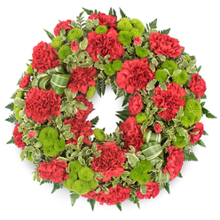 A traditional circular wreath, designed as a heartfelt funeral tribute, is pictured against a bright white background, its ring of crimson and lime flowers glowing as if freshly arranged in a North Watford flower studio. The wreath is densely packed with rich red carnations, each bloom full and ruffled, with layered petals that look soft to the touch, like folded silk. Some carnations are fully open, revealing their intricate centres, while others remain slightly closed, lending a natural rhythm to the circle. Between these red blooms sit clusters of lime green button chrysanthemums, compact and spherical, their tiny florets forming velvety domes that catch the light. This bright green offers a vivid yet peaceful contrast to the red, adding a sense of gentle renewal to the memorial design. Surrounding and supporting the flowers is a lush base of greenery: arching fern fronds in a deep emerald tone, and variegated pittosporum with creamy-white edges that create flickers of light among the darker foliage. The leaves overlap and fan out, giving depth and a soft, feathery finish to the wreath's outline. Threaded thoughtfully through the lower section is a ribbon in two tones of fresh green, looped into subtle curves that mirror the circular shape. The overall impression is one of carefully considered craftsmanship, the kind of wreath a family might arrange for same-day delivery in North Watford to a church near Callowland or Kingswood, expressing sympathy, gratitude, and enduring love in a refined, timeless way.