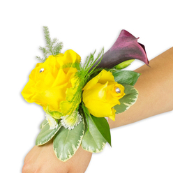 As a local florist arranging in the shadow of Cassiobury Park and the bustle of North Watford High Street, I picture this wrist corsage as a little keepsake of celebration. Shown on a light-to-medium skinned forearm against a crisp white backdrop, the design centres on two luminous yellow roses: a larger, wide-open bloom on the left and a smaller, softly cupped rose to its right. Each rose is gently embellished with a clear rhinestone at its heart, adding a subtle, refined sparkle that catches the afternoon sun and draws the eye. Tucked slightly behind and above the roses, a single dark plum calla lily - a rich burgundy leaning almost to black - rises with smooth, sculptural form, its deep hue intensifying the cheerful yellow. Light, feathery asparagus fern threads through the arrangement, introducing movement and a soft, almost whispered texture, while variegated green leaves with pale edges give the corsage an anchored, garden-fresh base. Little clusters of white filler flowers mingle between the foliage, boosting volume and lending a gentle, celebratory air. Secured with a discreet band, the corsage is shown diagonally across the wrist to illustrate wearability for prom, bridal parties, or a guest of honour. Prepared with neighbourhood care and available for same-day delivery across North Watford through Flower Delivery North Watford, this piece balances brightness and drama with the quiet craftsmanship of an experienced local florist.