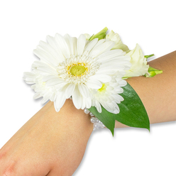 A finely composed white wrist corsage sits gracefully on a light-toned inner wrist, captured against a crisp white background that emphasizes its clean, classic palette. Dominating the arrangement is a single, striking white Gerbera daisy whose velvety petals fan outward in precise symmetry from a vivid yellow-green centre, giving the piece a focal brightness. Nestled around this central bloom are clusters of small, soft white chrysanthemums and a handful of creamy lisianthus-some tightly budded, others gently unfurling-creating a soft, layered texture that invites a closer look. Rich, deep Ruscus leaves and broader salal-like foliage frame the flowers, their glossy green tones providing contrast and depth while echoing the natural silhouette of the forearm. The flowers are secured to a refined wristband composed of several strands of tiny white pearl beads, which gleam subtly under the light and lend the corsage a timeless, heirloom feel. The overall scent is cool and lightly grassy, as if the stems were cut in the early hours and arranged with calm attention. Perfect for weddings, proms, or graduation celebrations across North Watford and familiar pockets like the area around Watford Junction and local market gatherings, this piece reflects the thoughtful hand of a neighbourhood florist. At Flower Delivery North Watford we would describe it as a wearable keepsake-pure, elegant, and made to sit comfortably during the slow, important movements of a ceremony or reception.